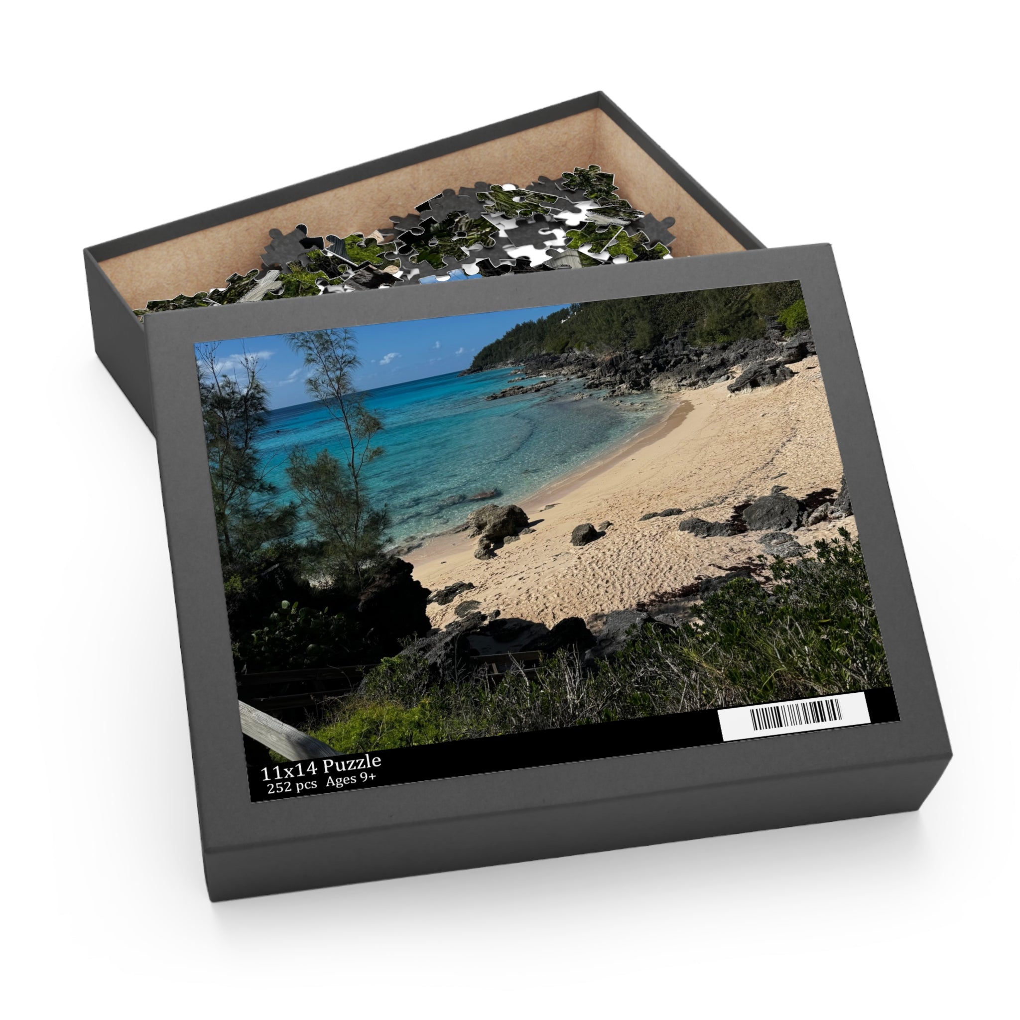 Bermuda PINK sand beach puzzle