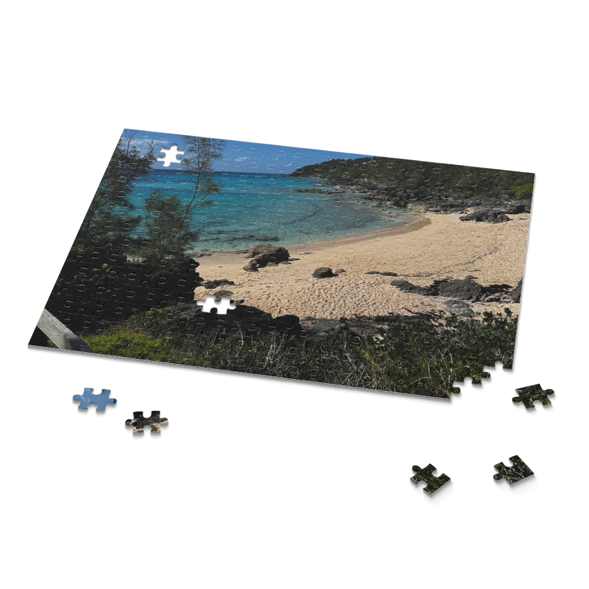 Bermuda PINK sand beach puzzle