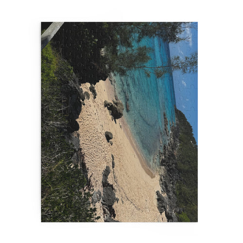 Bermuda PINK sand beach puzzle